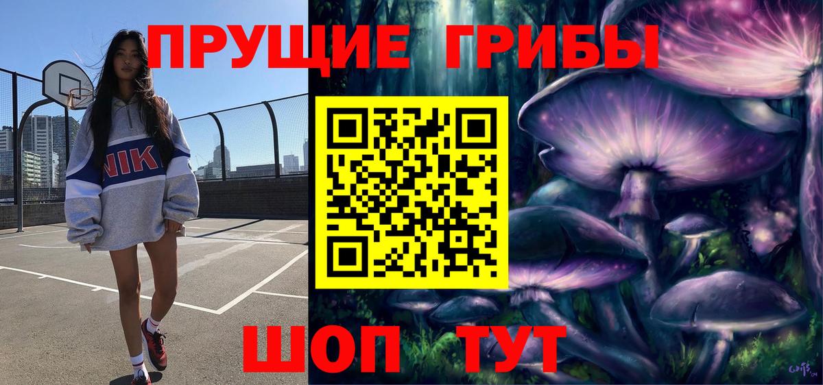 Псилоцибиновые грибы Cubensis Славянск-на-Кубани
