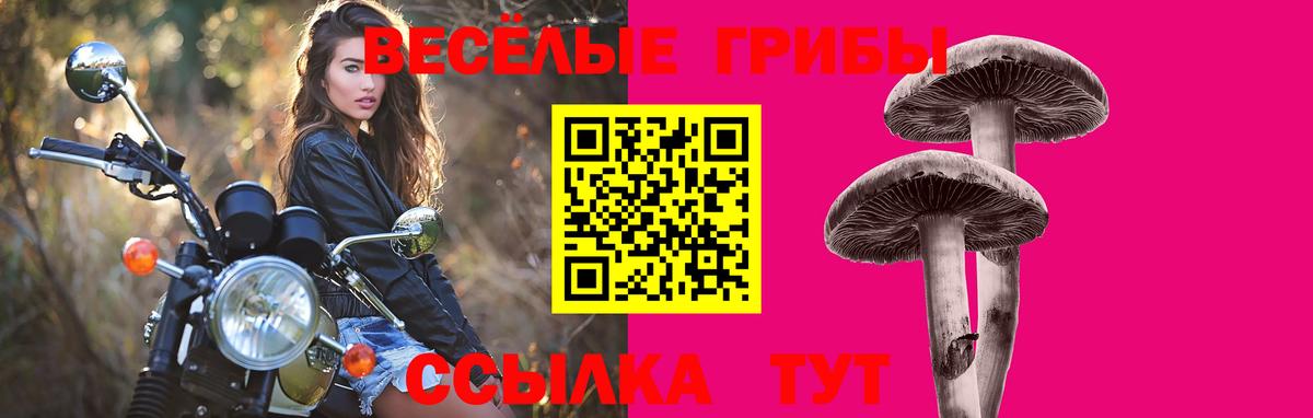 Славянск-на-Кубани  Галлюциногенные грибы мухоморы  Вход с VPN 